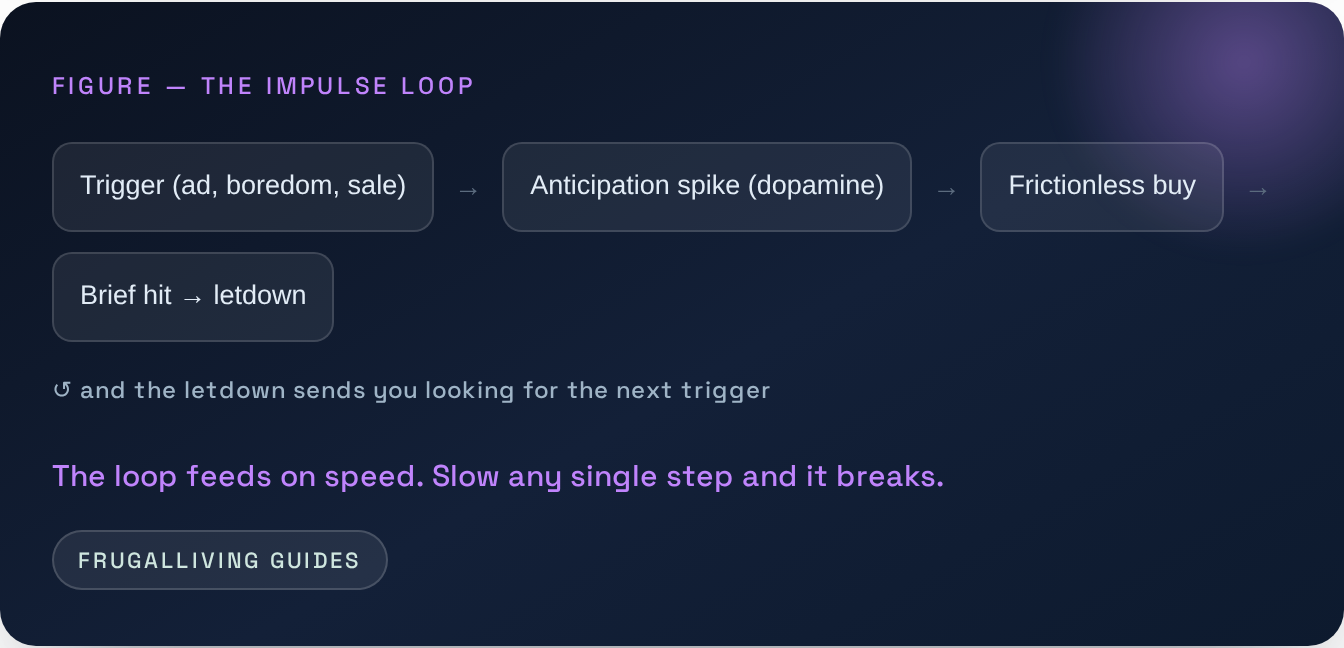 Figure — The impulse loop